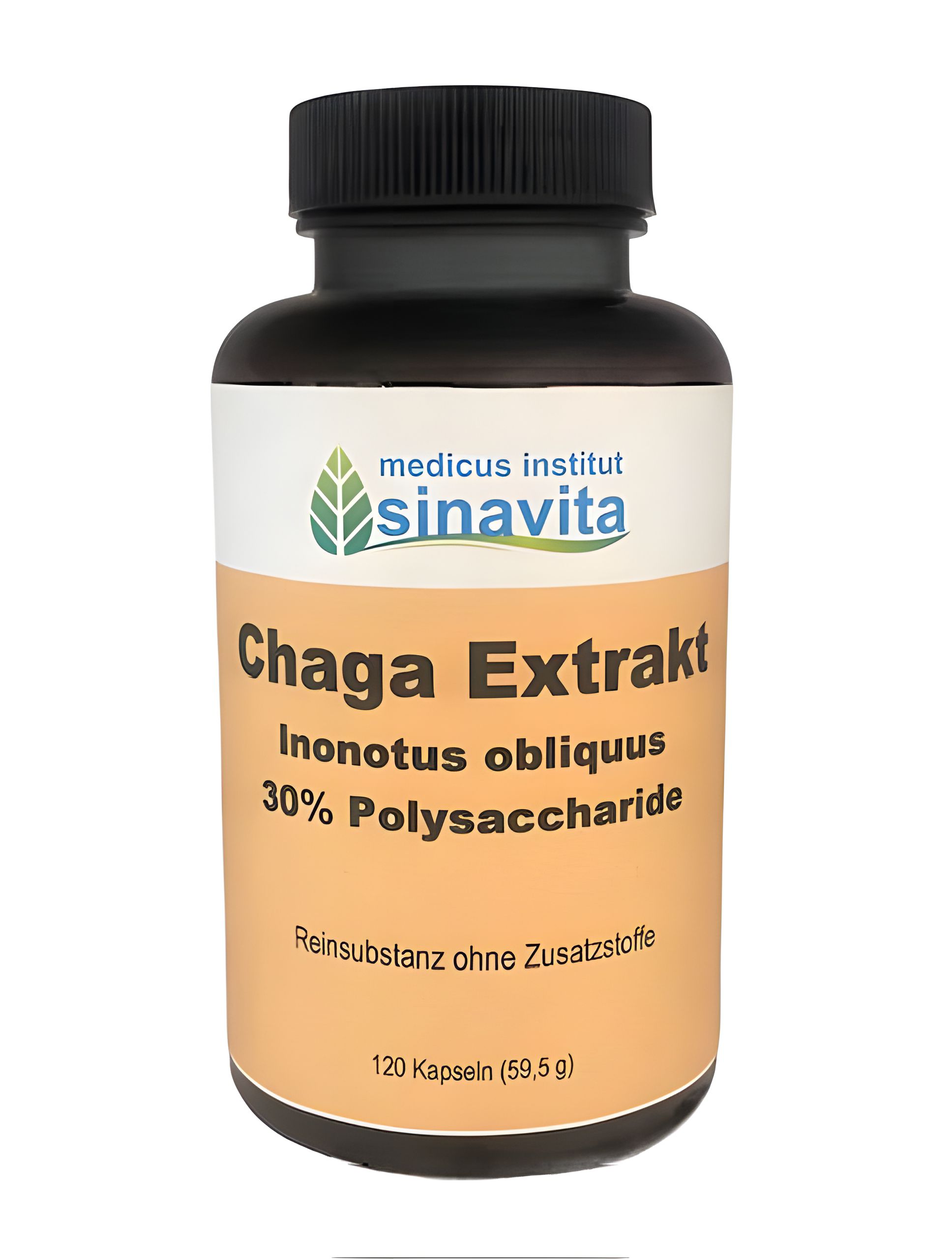 CHAGA EXTRAKT Kapseln